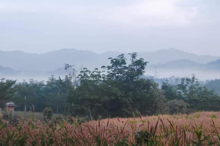 ภูริรักษ์ โฮมสเตย์ Ban Pha Saeng Lang エクステリア 写真